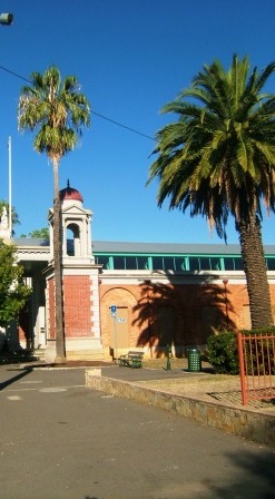 Castlemaine market building with palm tree.